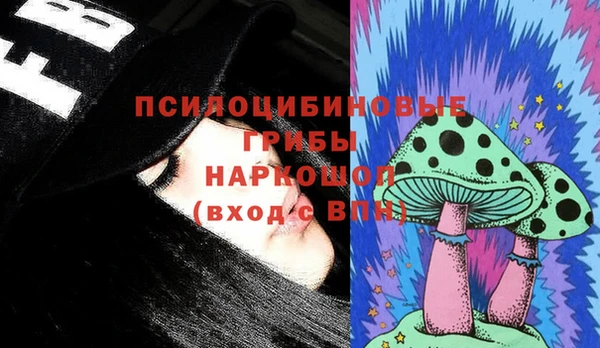 мдпв Арсеньев